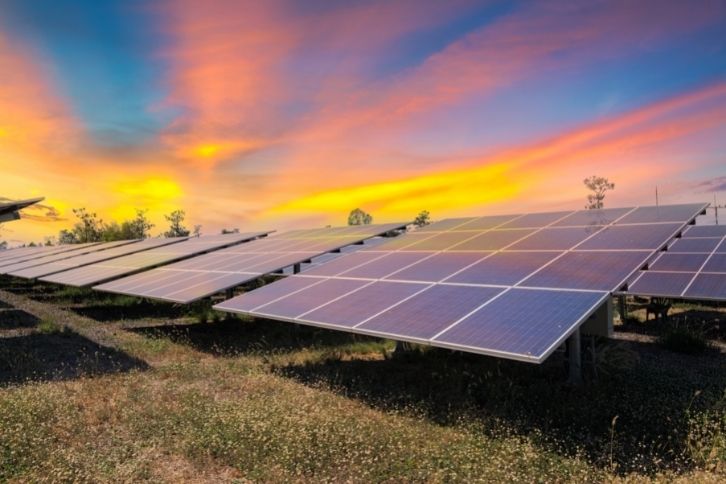 Solar panels under a setting sun