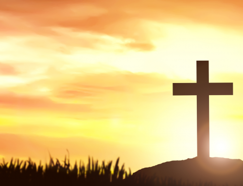 Religious Life as an Antidote to Toxic Polarization